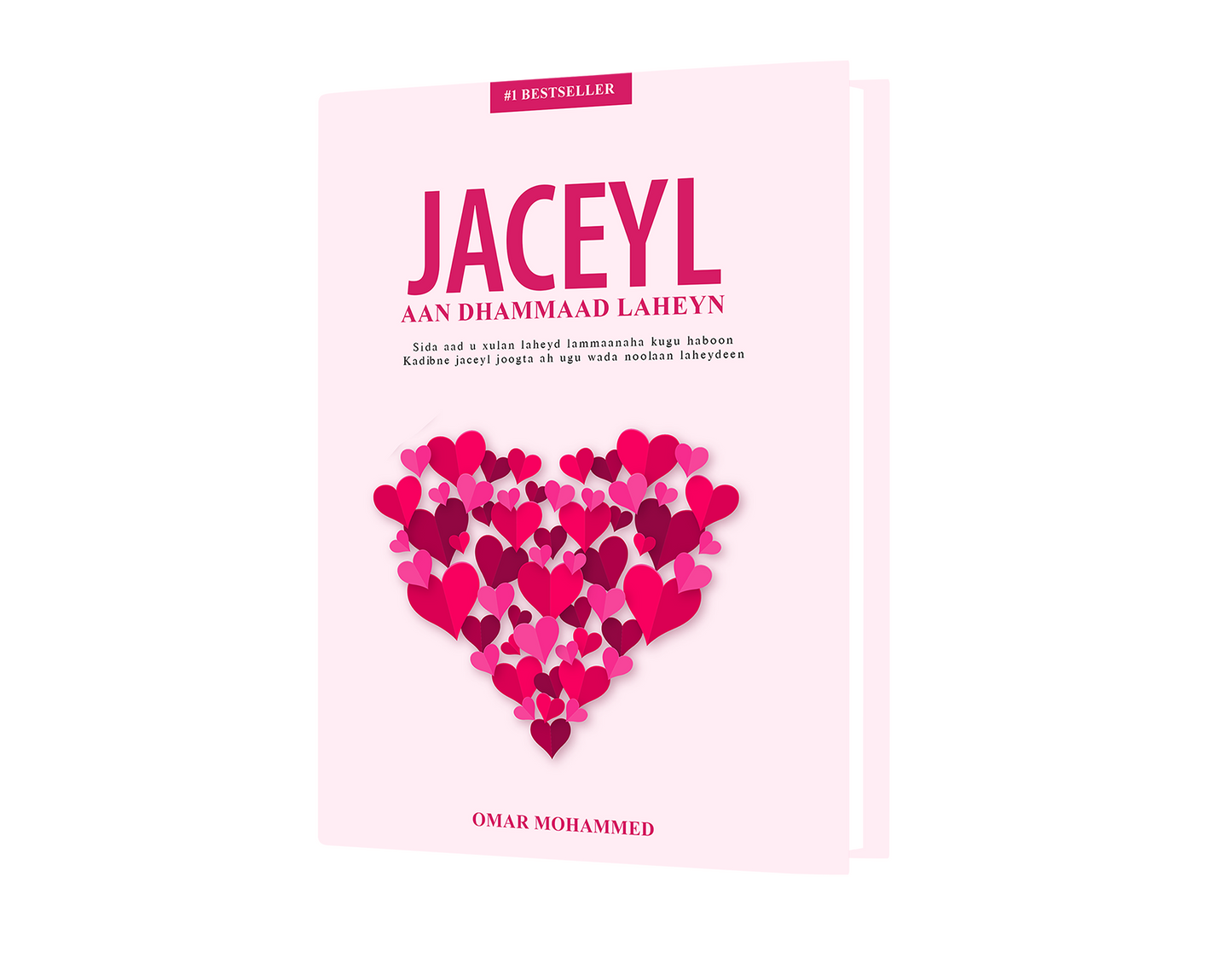 Jacely aan dhamaad laheyn